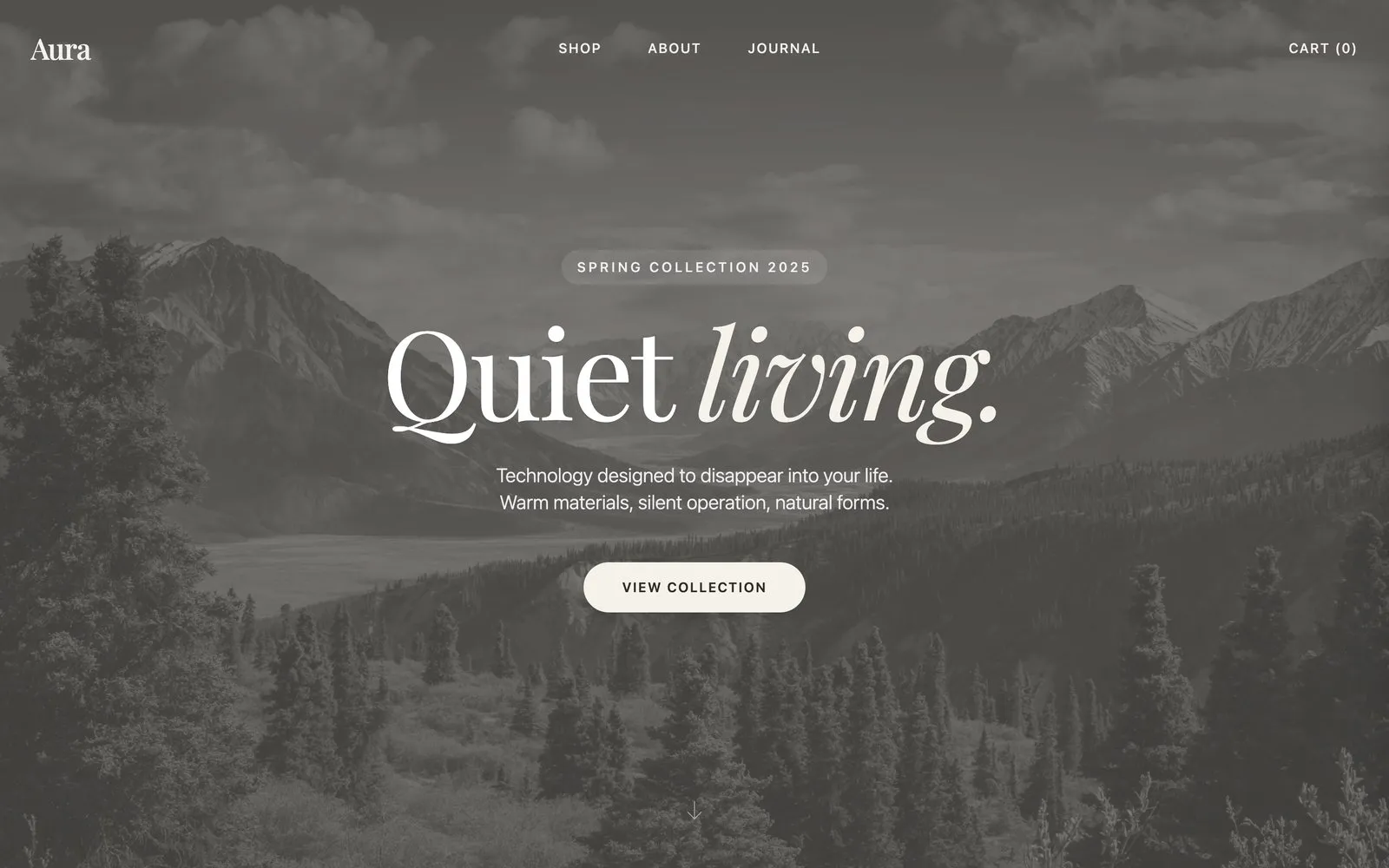 PocketBase Cloud Template preview